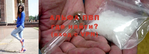 гидра Алексин