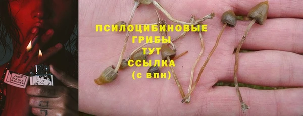 гидра Алексин